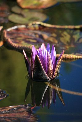 01-15-13 187 (Medium)