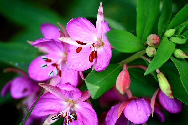 adjusted 203 (Large)