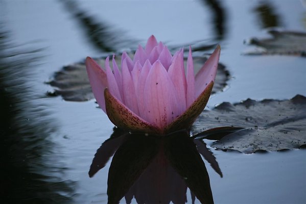 01-15-13 169 (Medium)