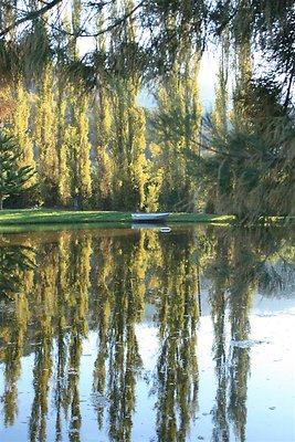 IMG 0247 (127) (Medium)